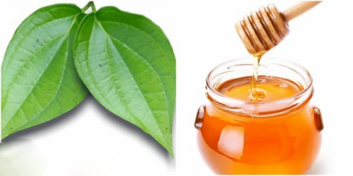 Hỗn hợp trị nám da bằng lá trầu + mật ong