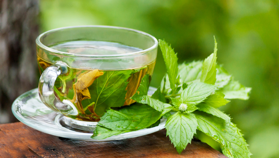 Trà gừng và bạc hà giảm cân hiệu quả